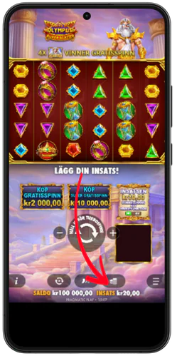 Gör en insättning